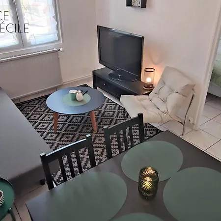 Résidence Sainte Cécile * Thionville